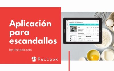 Application to make cost analysis of Recipok. How does it work?