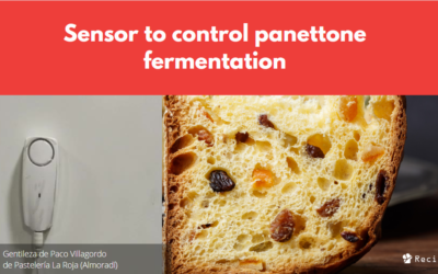 Fermentation sensor for panettone – Contribution of Paco Villagordo
